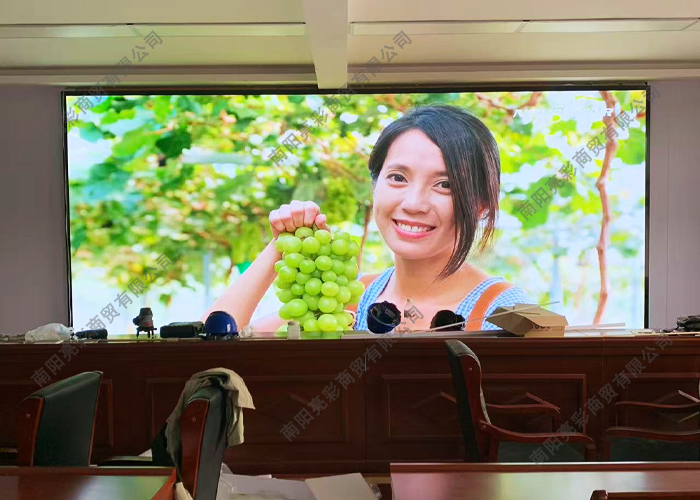 镇平石佛寺某幼儿园会议室音视频项目：LED 显示屏与会议音频系统完工